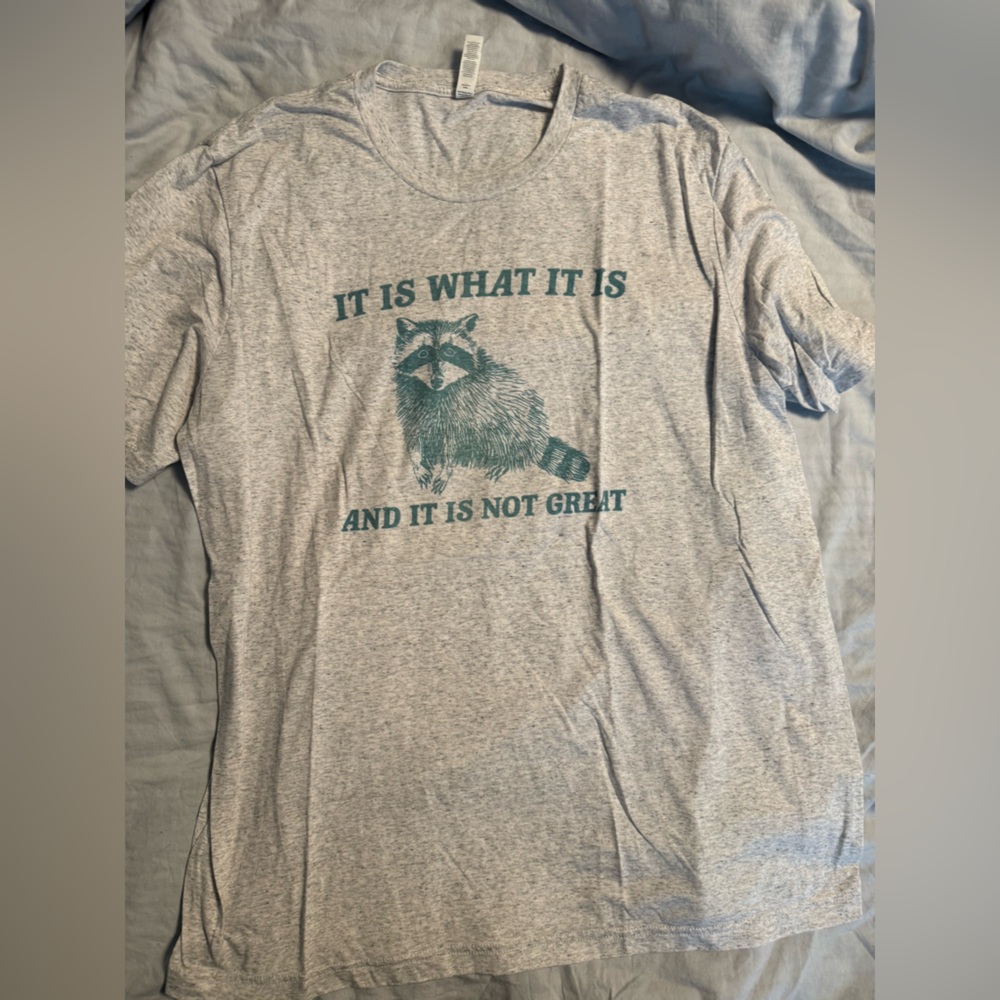 Graphic Tshirt raccoon Size 2X Bella & Canvas it is what it is
